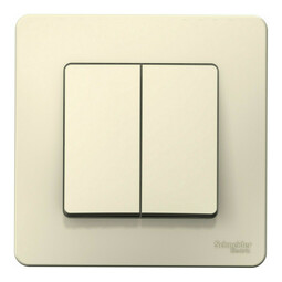 Выключатель 2-клавишный Systeme Electric BLANCA, скрытый монтаж, молочный, BLNVS010502